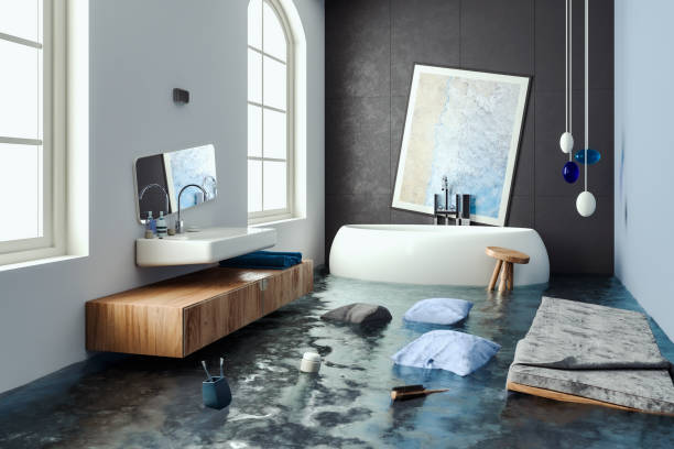 Best Mold removal after water damage  in Lovejoy, GA