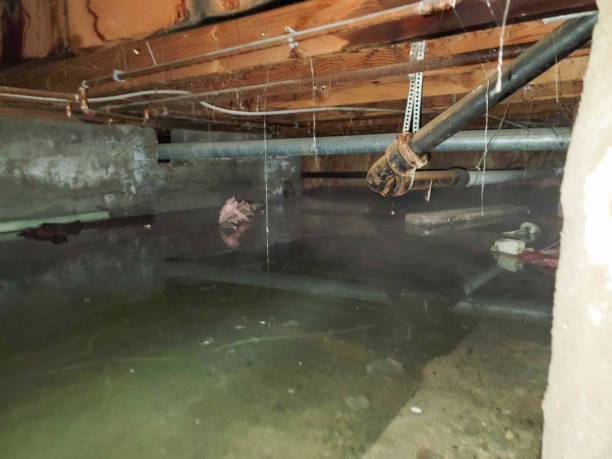 Best Fire Damage Restoration  in Lovejoy, GA