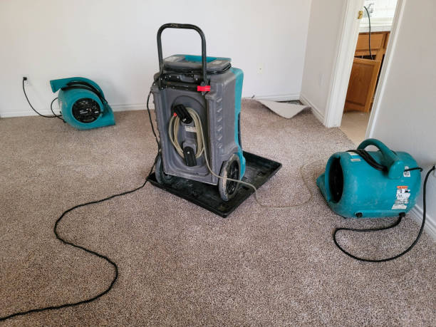 Best Water damage restoration near me  in Lovejoy, GA