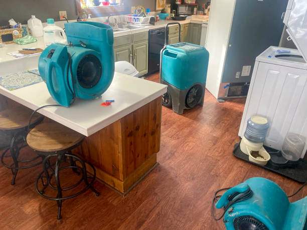 Water damage restoration mold remediation in GA
