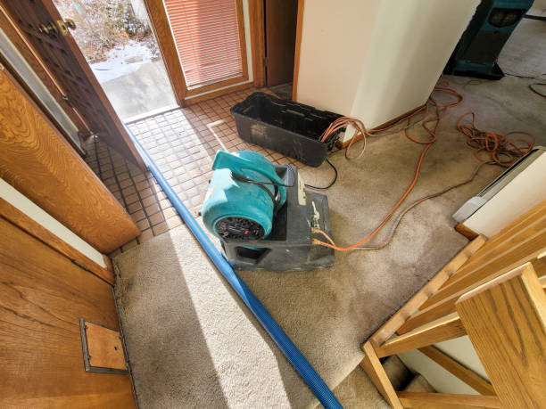 Best 24-hour water damage restoration  in Lovejoy, GA