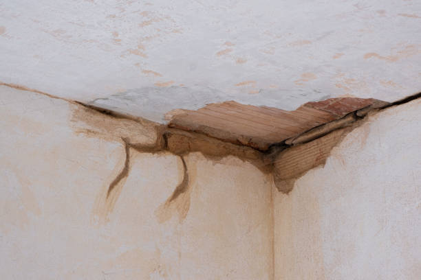 Best Flood restoration services  in Lovejoy, GA