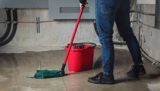Best Flooded house restoration  in Lovejoy, GA